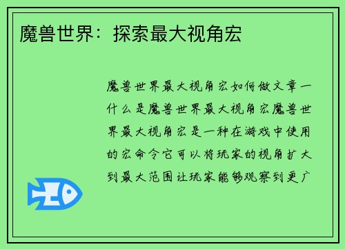 魔兽世界：探索最大视角宏